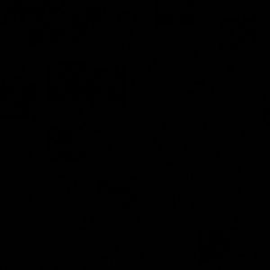 Meet your Posher, Adrian